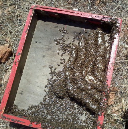 Όταν η φύση έχει κέφια